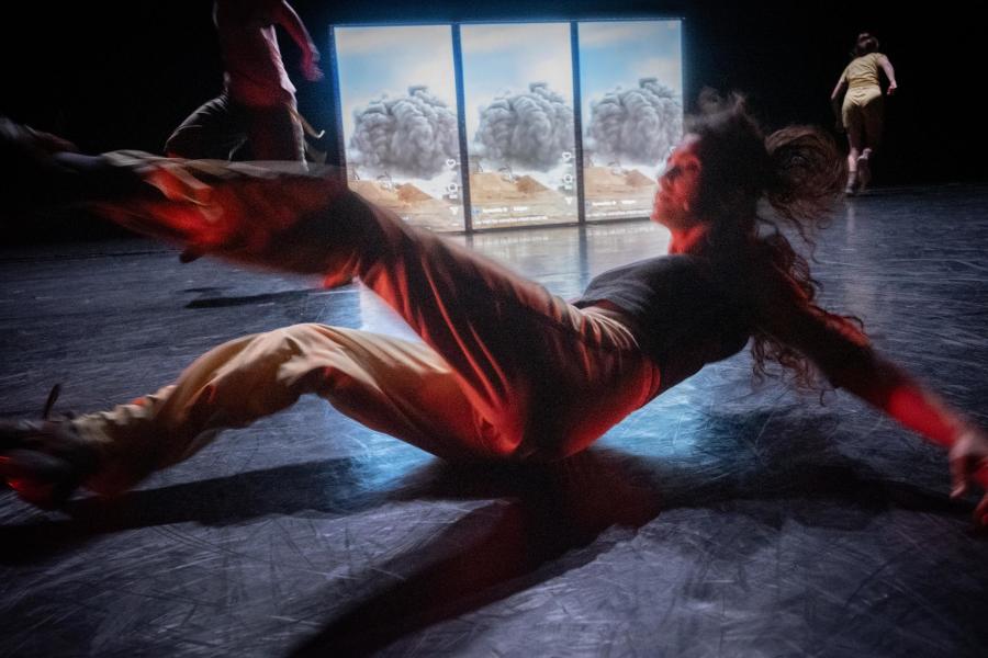 Persians. Triumph of Empathy - Action Zoo Humain NTGent © Kurt van der Elst