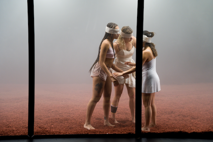 Gaze © Johan Pijpops - Laura Neyskens Action Zoo Humain