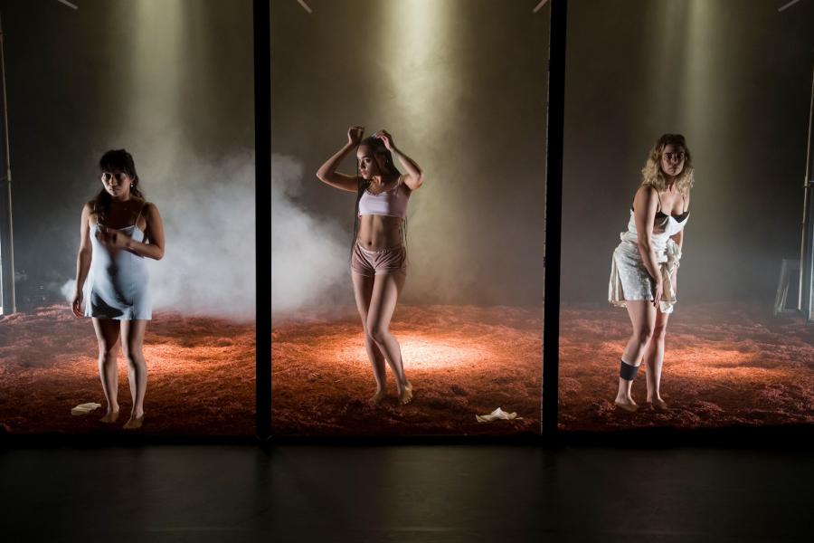 Gaze © Johan Pijpops - Laura Neyskens Raphaël Vandeweyer Action Zoo Humain La Geste