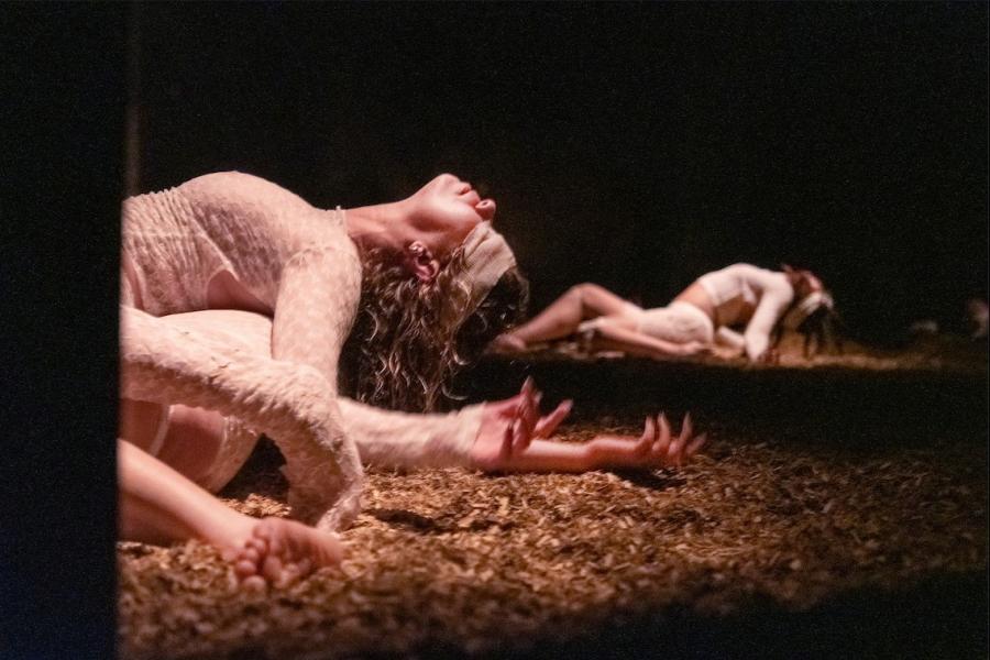 Gaze © Kurt van der Elst Laura Neyskens Action Zoo Humain