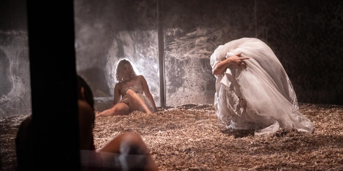 Gaze © Kurt van der Elst - Laura Neyskens Raphaël Vandeweyer Action Zoo Humain La Geste