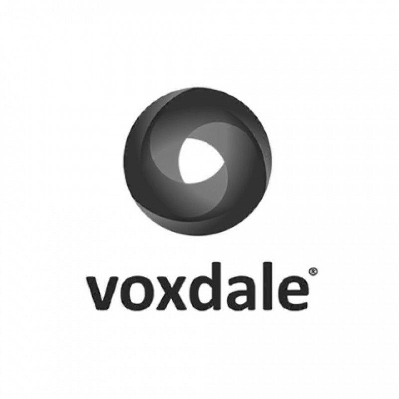 b_w_voxdale_logo