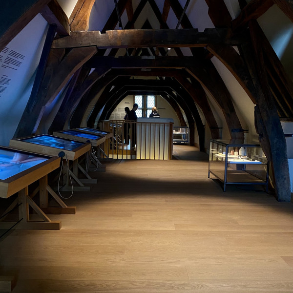 Vitrines in Het Steen