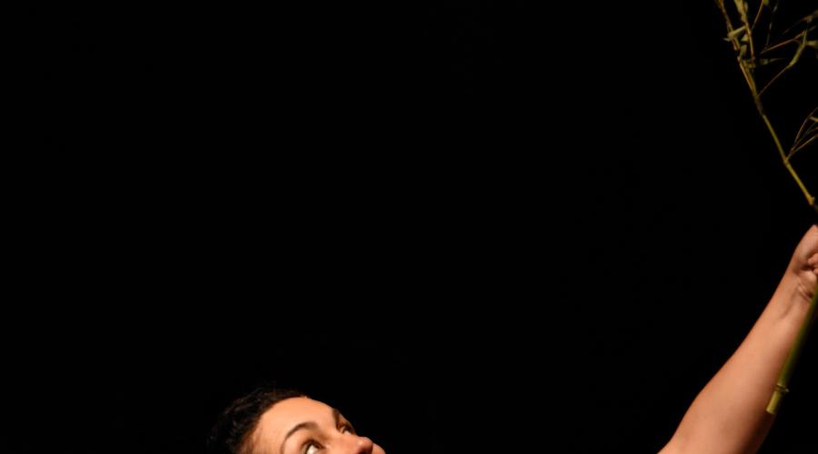 ©Manuel Moreira