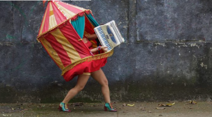 A Sanfonástica Mulher