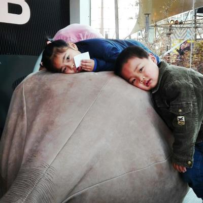 Bellyhorn