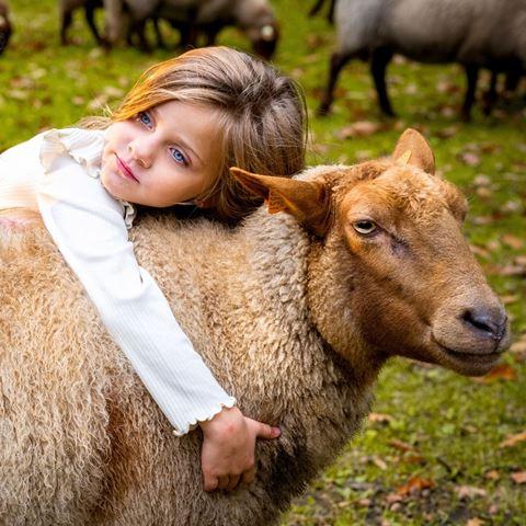meisje met schaap