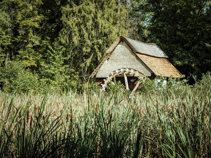 Ellikom na restauratie