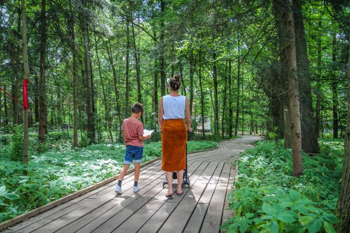 wandelen in bokrijk