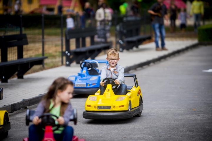 Mini-auto's in Bokrijk