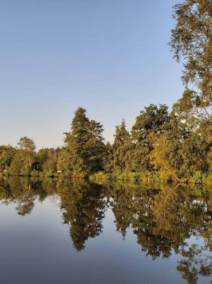 Visvijver Grote Moffert Bokrijk