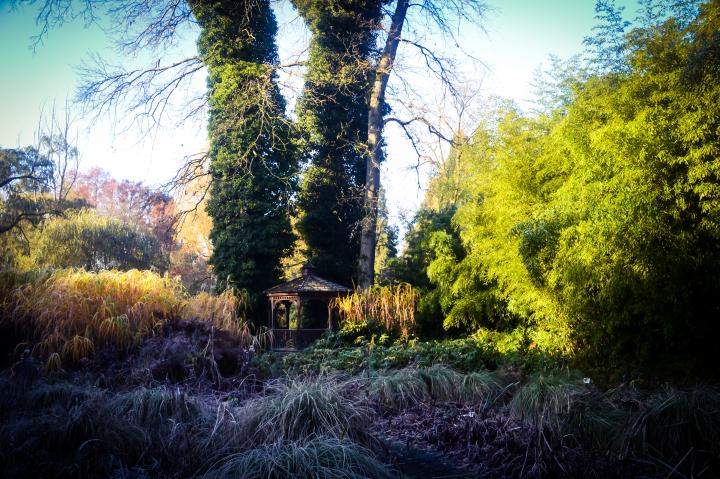 Arboretum