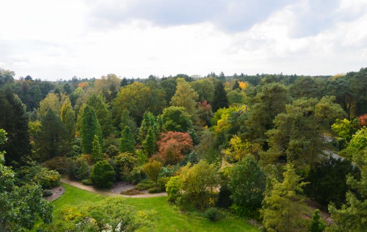 Arboretum overzicht
