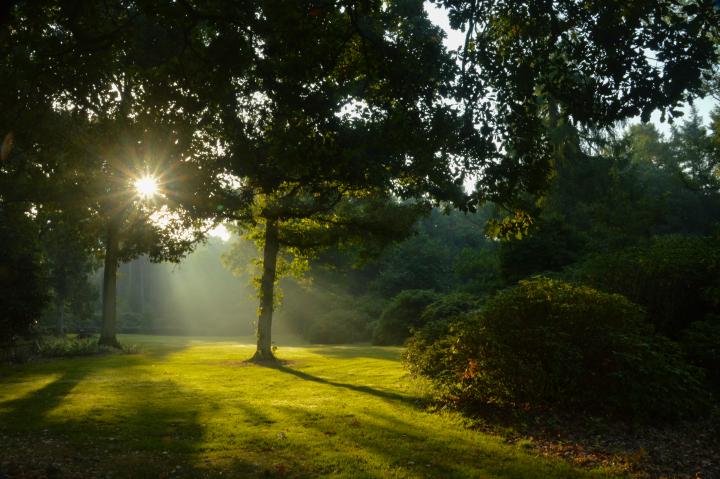 Arboretum
