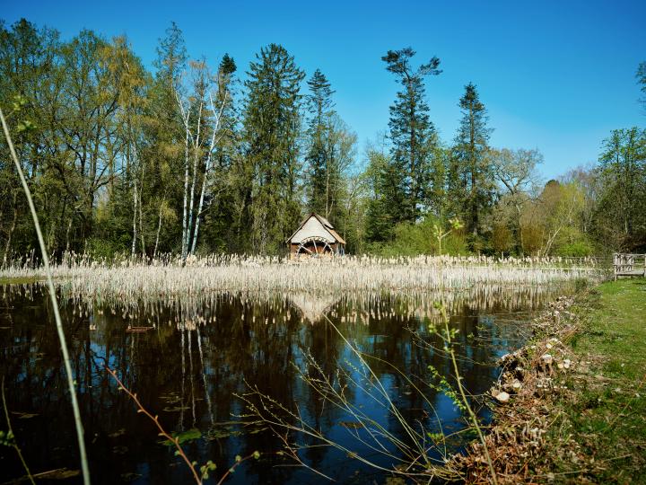 Olieslagmolen Ellikom