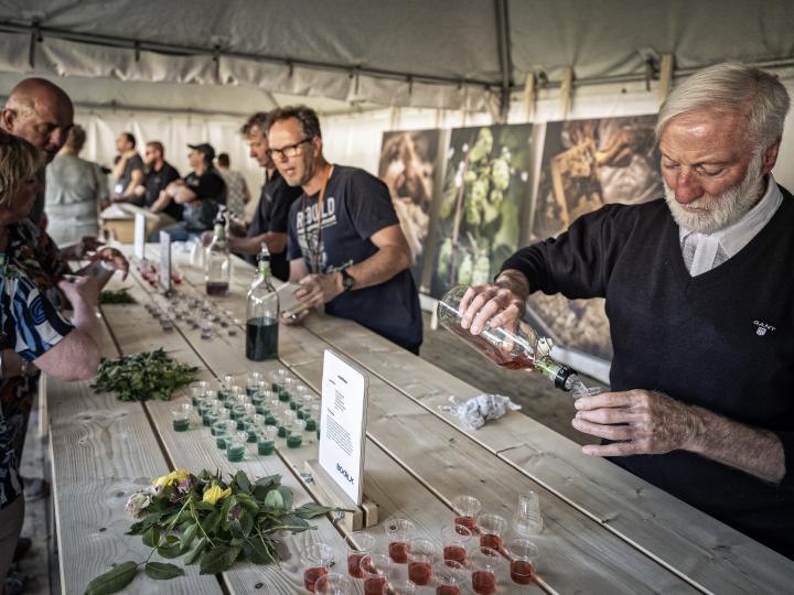 BOKRIJK dag eetbaar landschap 2019 - jenever