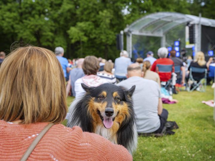 Bokrijk Folkfestival 2022
