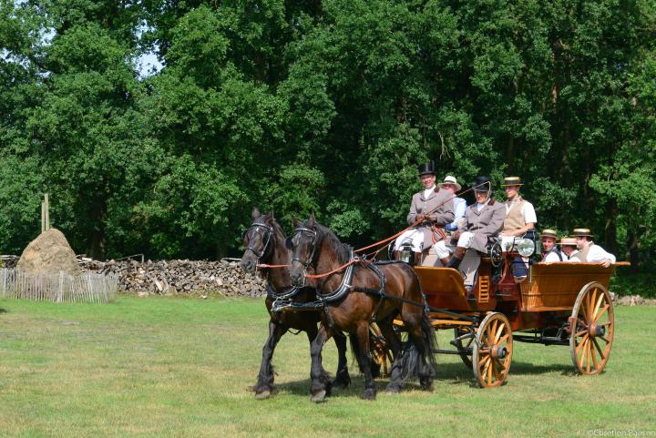 Historische Koetsenparade 2015
