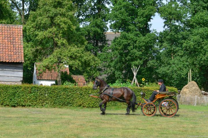 Historische Koetsenparade 2015
