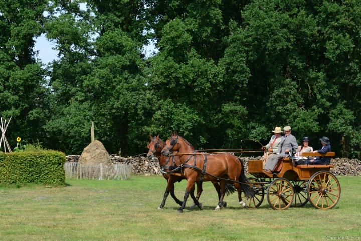 Historische Koetsenparade 2015