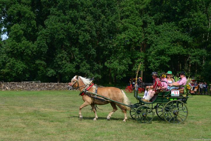 Historische Koetsenparade 2015
