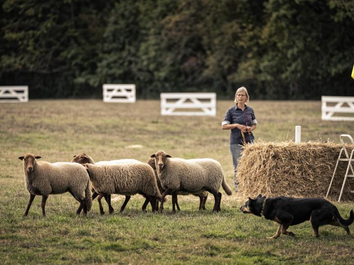 Dag van het Eetbare Landschap 2018