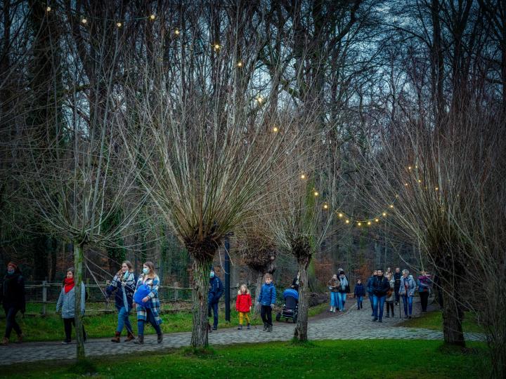 Winterwandelingen 2020