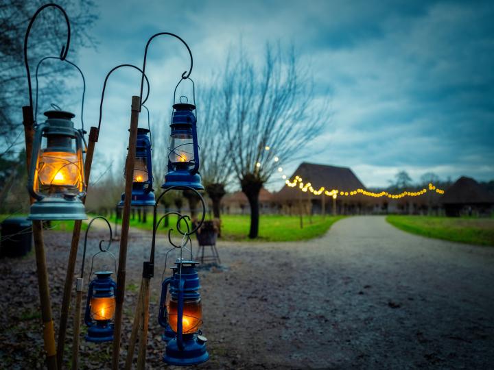 Winterwandelingen 2020