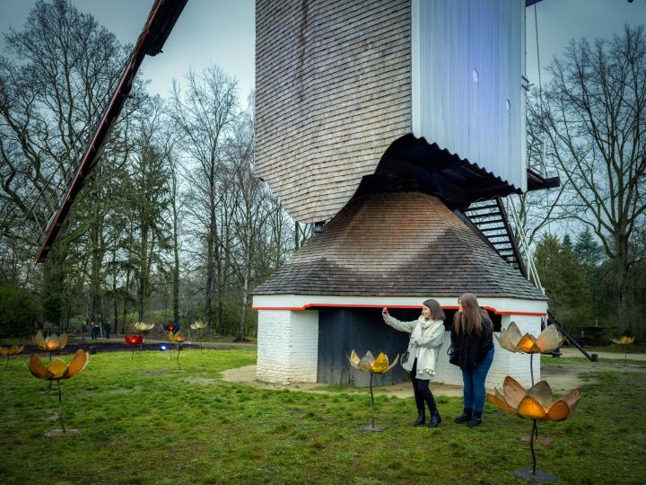 Winterwandelingen 2020