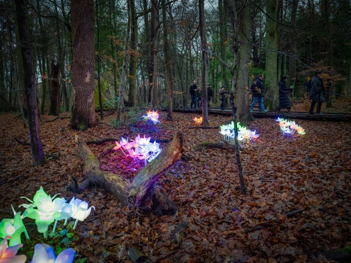 Winterwandelingen 2020