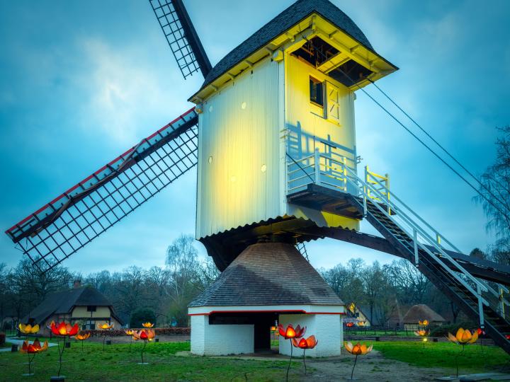 Winterwandelingen 2020