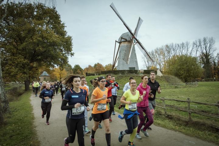 Bokrijk Run 2018