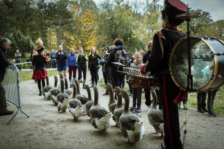 Bokrijk run 2019 ganzen fanfare 