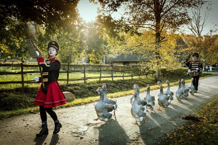 Bokrijk run 2019 Ganzen fanfare 