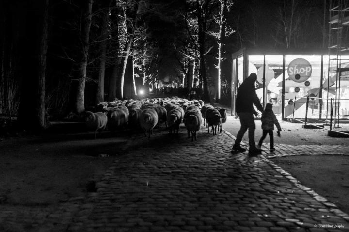 Winterwandelingen 2021