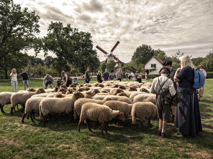 open monumentendag bokrijk 2018