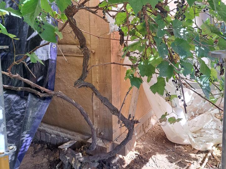 De Kleinaert september 2022