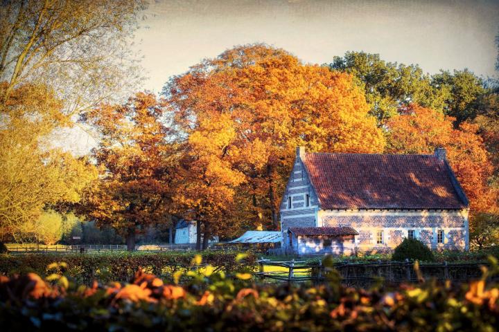 Openluchtmuseum Bokrijk