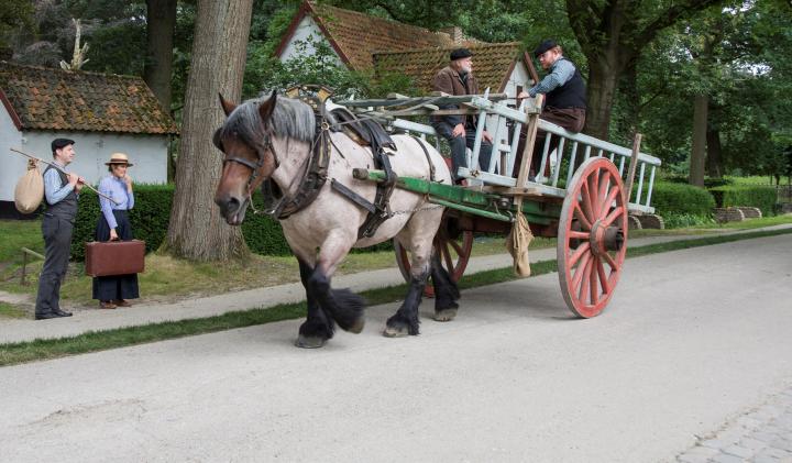 Paard en kar - Borkijk