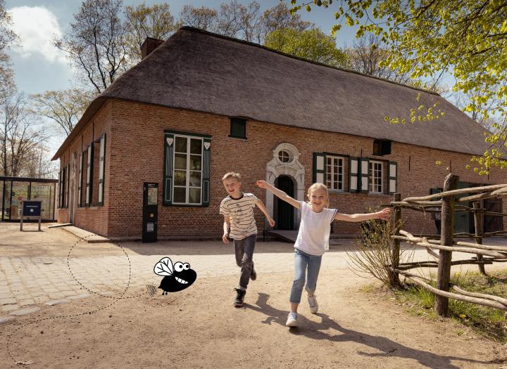 Schatten van vlieg