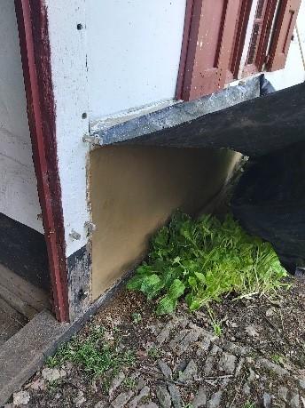 Woonhuis Kortessem restauratie