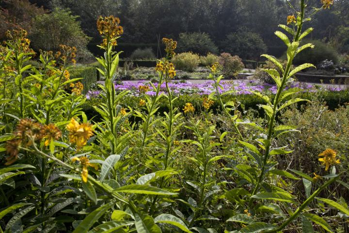 tuin museum