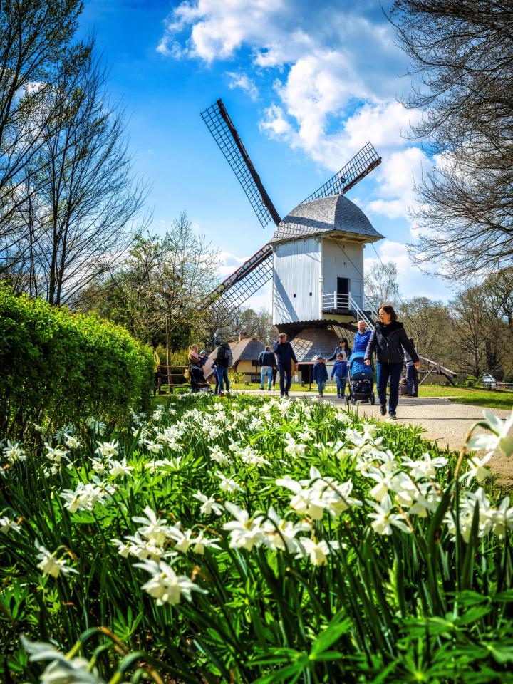 Openluchtmuseum Bokrijk - lente