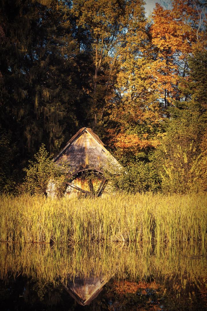 Herfst in Bokrijk molen
