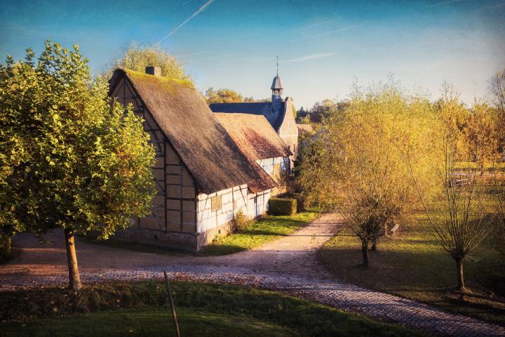 Herfst in Bokrijk Haspengouw