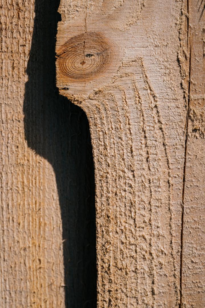 hout
