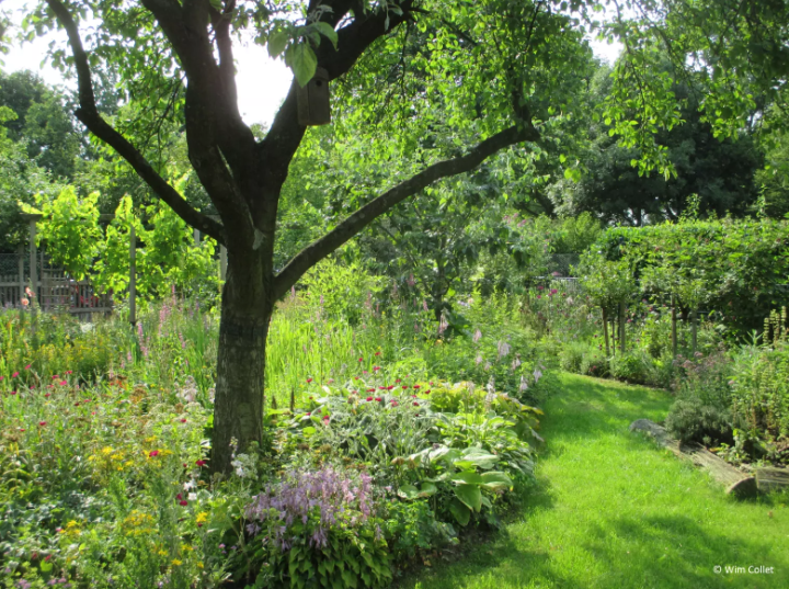 Klimaatrobuuste tuin