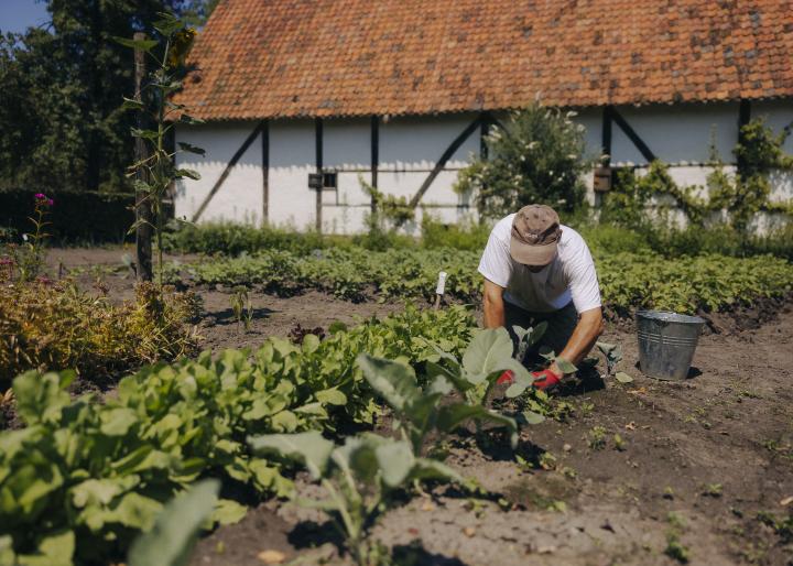 Bokrijk Botaniek