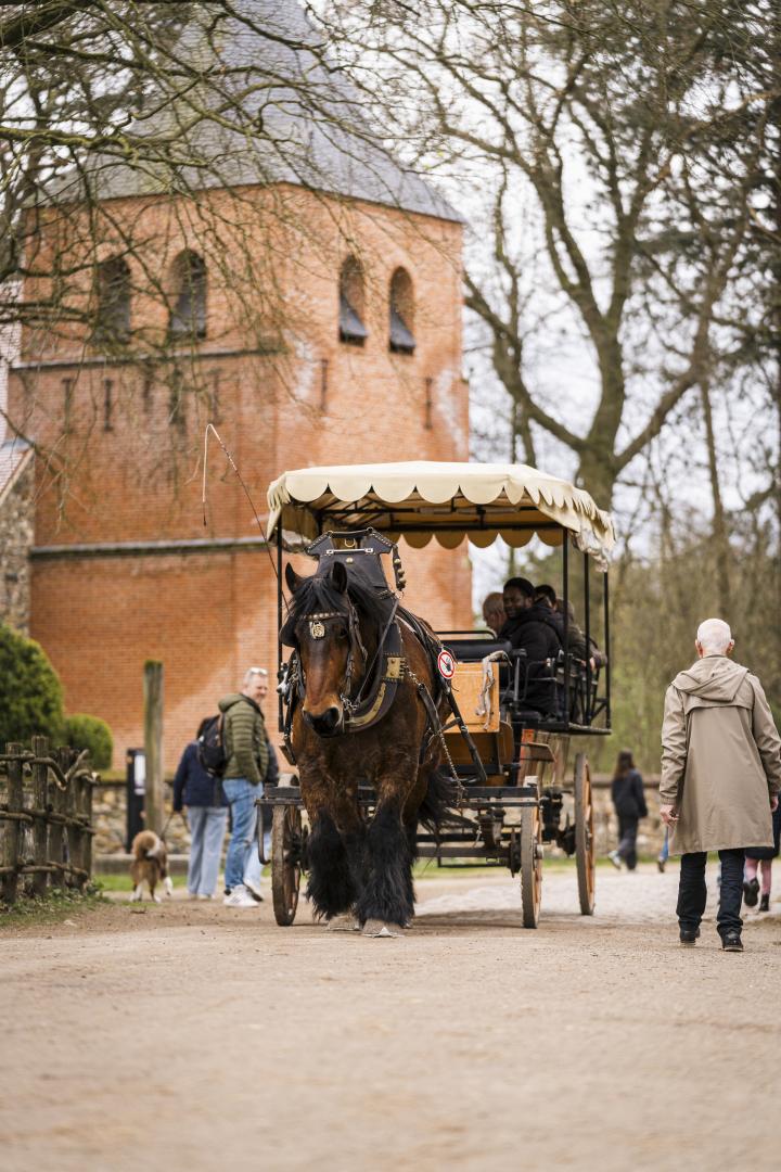 Huifkar met boerenpaard
