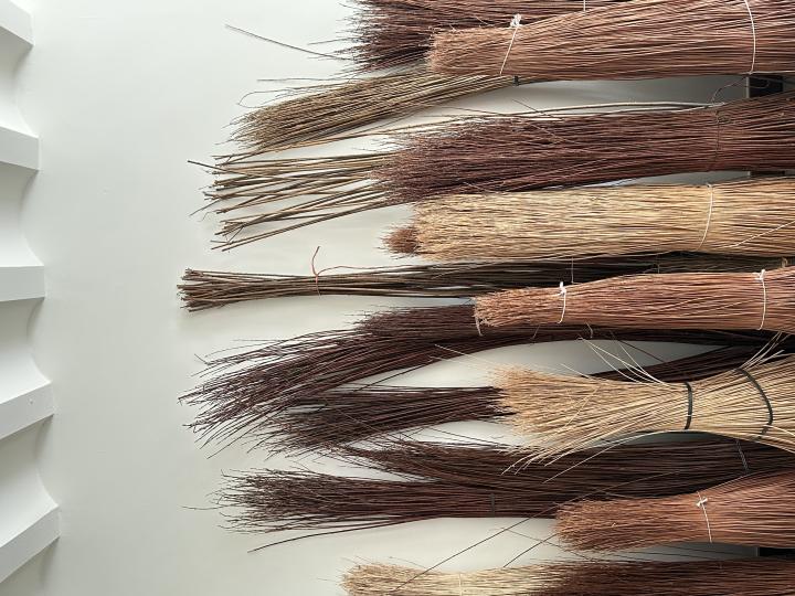 Bussels wilgentakken gebundeld tegen een muur, klaar om manden mee te gaan vlechten